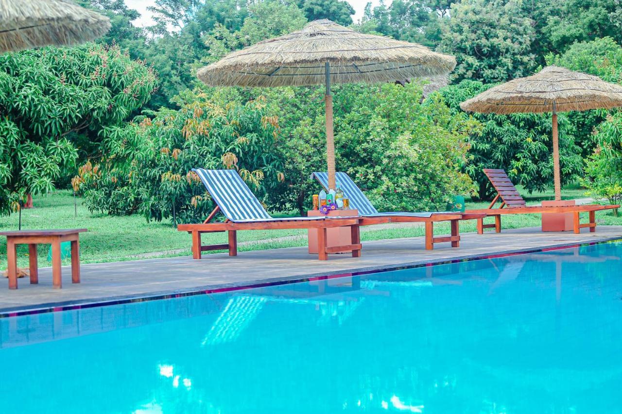 Sigiriya Water Cottage Kültér fotó